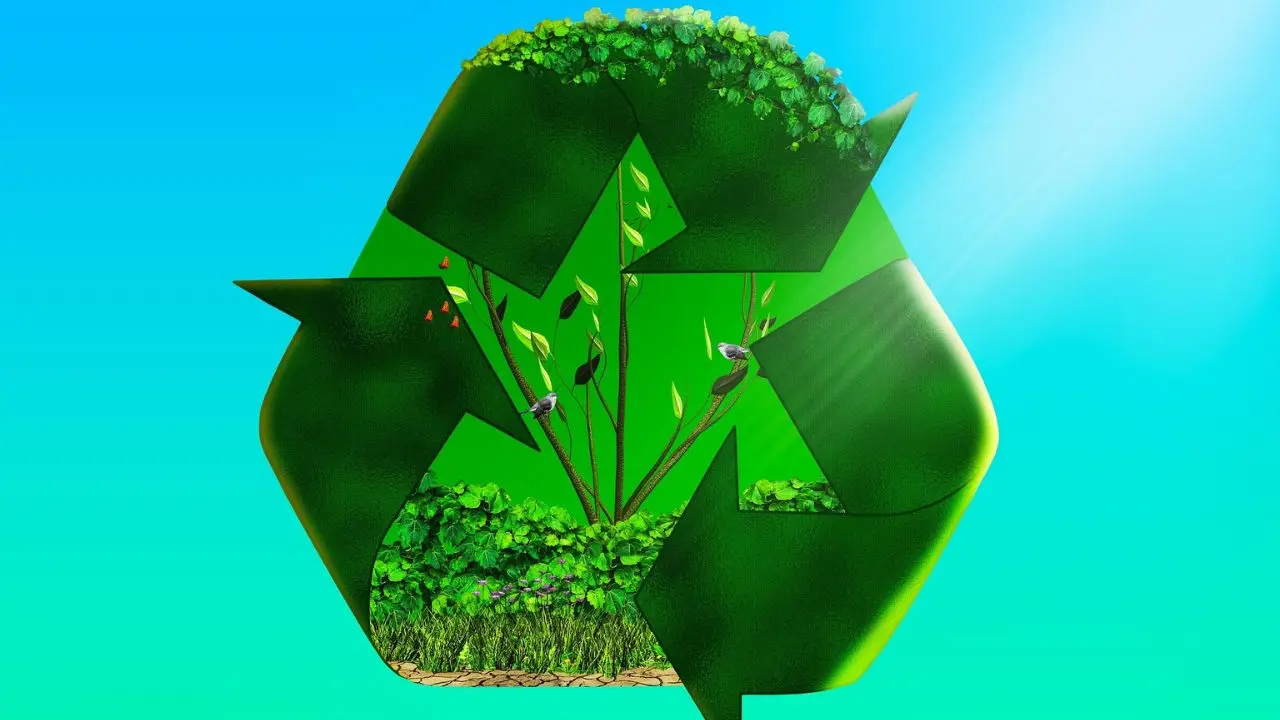 Circular Economy