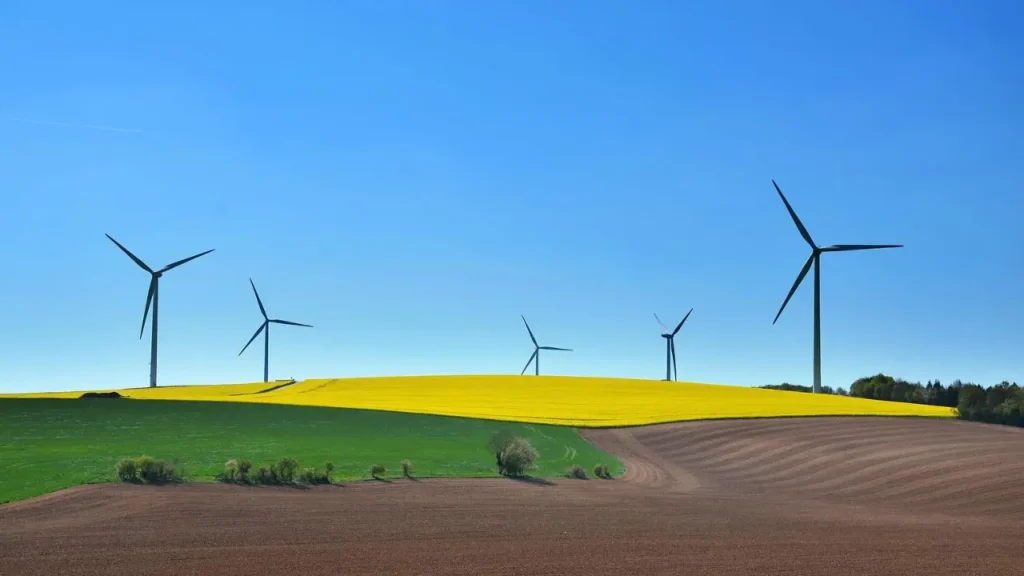 Sustainable Development